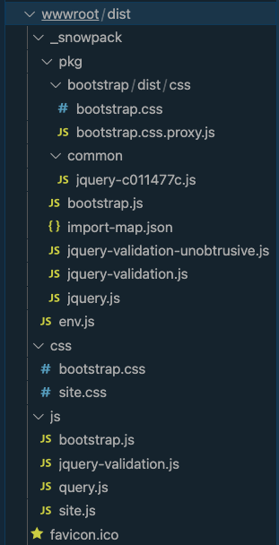 alt=“Snowpack created wwwroot folder files”